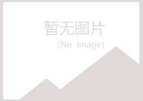 江都晓夏能源有限公司